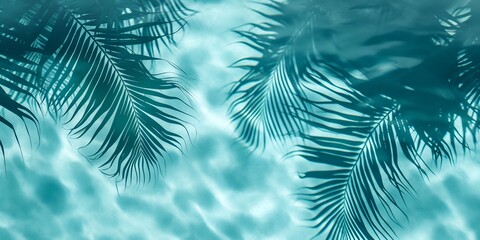 Fototapeta na wymiar Light clean transparent water surface background wallpaper with tropical leaves shadow