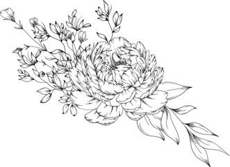 Hand drawn Peony floral arrangement with leaves and branches.