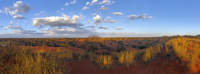 Panoramic picture over the Namibian Kalahari in the evening at sunset with blue sky and light clouds - obrazy, fototapety, plakaty