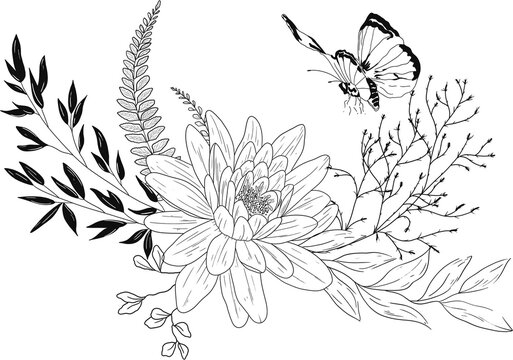Hand drawn wildflower florals. Sketch flower, leaves, branches and butterfly.