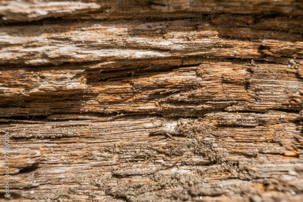 Poster old wood texture with natural patterns. abstract background and texture for design.