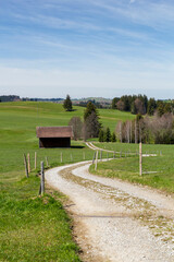 ein Wanderweg mit einer H&uuml;tte auf einer Wiese im Ostallg&auml;u im Sommer, Bayern