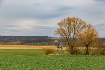 Springtime landscape in central Europe