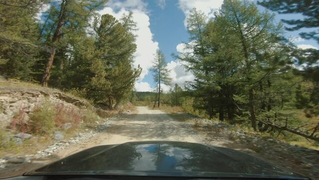 Car driving fast on a gravel off road past fields and trees. Car riding on country dirt road. Discovery and adventure travel concept. POV, onboard camera, sunny day
