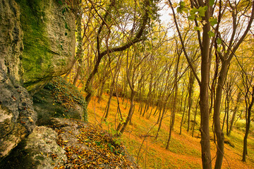 Autumn landscape with picturesque rocks in the forest. Nature of Poland