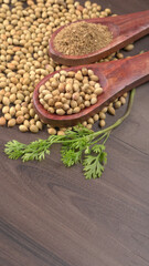 Dry coriander seeds with small bamboo spoon and green fresh bunch coriander leaves,famous spices ingredients in asia's kitchen.