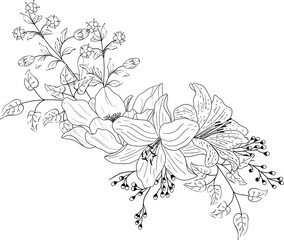 Hand drawn lily floral arrangement with leaves and branches.