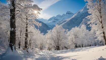 A breathtaking snowy landscape with a trail leading through frosted trees, with sunlight streaming from the clear blue sky.