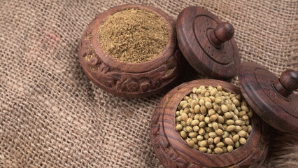 Dry coriander seeds with small bamboo spoon and green fresh bunch coriander leaves,famous spices ingredients in asia's kitchen.