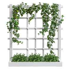 white wooden trellis with planter straight on isolated on transparent background png cutout