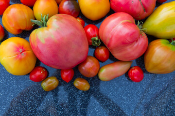 Group of colorful tomatoes from above, macro photography