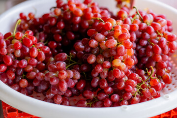 fresh seedless red grapes