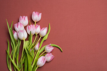 Delicate bouquet of pink tulips isolated on a burgundy background. Top view, flat lay