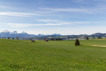 sommerliches Bergpanorama in der Nähe des Forggensee im Ostallgäu, Bayern