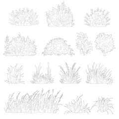 cad vegetation, linear illustrations