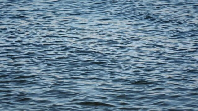 Sea surface with waves and ripples. Beautiful water texture.