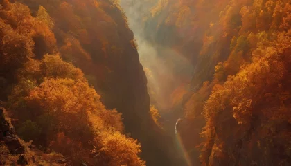 Gordijnen A breathtaking view of a deep canyon enveloped in autumn foliage, with sun rays piercing through the mist creating a subtle rainbow © video rost