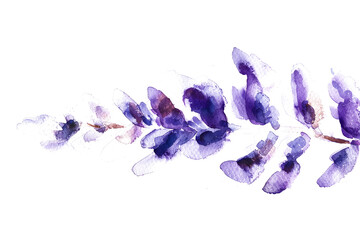 Lavender watercolor wash on transparent background.