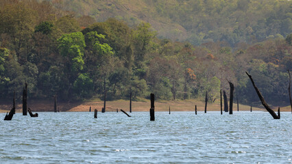 Beautiful Images from Periyar Tiger Reserve, western ghats