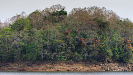 Beautiful Images from Periyar Tiger Reserve, western ghats