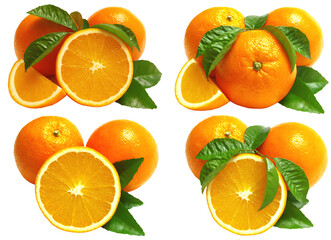 Set of orange fruits isolated