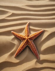 A solitary starfish lies on rippled desert sands, presenting a unique juxtaposition of marine life and arid landscapes