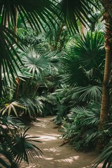 Fototapeta na wymiar ground view of tropical forest exotic plants, 