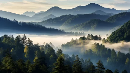 Foto op Aluminium Mountain taiga, a wild place in Siberia. Coniferous forest, morning fog, panoramic view. © May