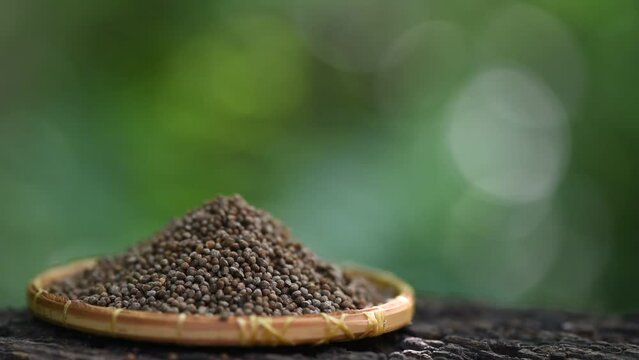 Abelmosk or Abelmoschus moschatus seeds on natural background.