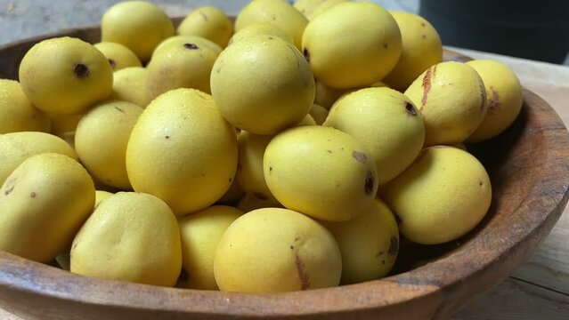 Marula fruit and oil used in anti-aging and skin-toning cosmetics 