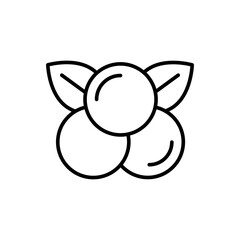 Blueberry outline icons, minimalist vector illustration ,simple transparent graphic element .Isolated on white background