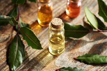 A bottle of aromatherapy essential oil with fresh bay leaf on a wooden table