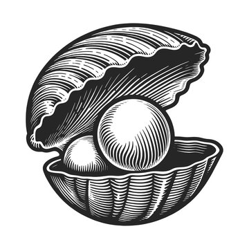  pearl nestled in an open oyster shell, representing luxury and natural beauty, line art sketch engraving generative ai raster illustration. Scratch board imitation. Black and white image.