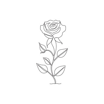 Black and white illustration with a rose flower in line art style