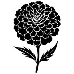 Marigold Vector Art Blooming Beauty for Your Designs