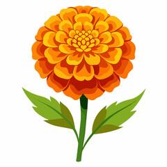 Marigold Vector Art Blooming Beauty for Your Designs