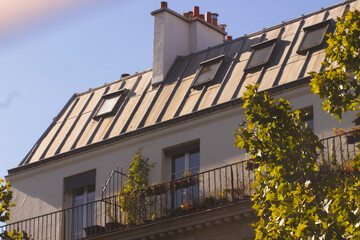 Paris roof view spring