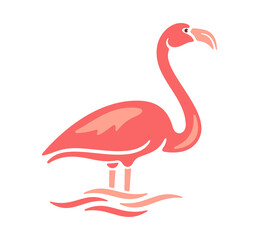 Flamingo, bird, animal, avian, feathered and pink plumage. Nature, fauna and wildlife, zoo, lake and waves, illustration