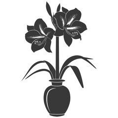 Silhouette amaryllis flower in the vase black color only - obrazy, fototapety, plakaty