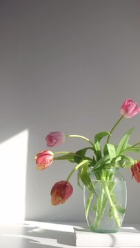 Woman hand placing tulip in flower arrangement, spring flowers, minimalist aesthetic vertical video background