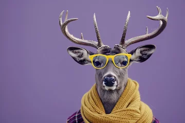 Tuinposter Deer with yellow sunglasses and scarf on purple background banner © Igor