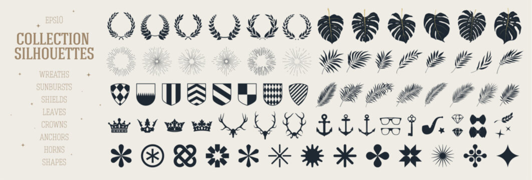 Big set of various design elements, tropical leaves and plants branches, detail wreaths and sunbursts, vector shapes collection assets of isolated details, for colleges and prints