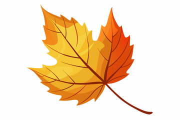Fall leaves with white background.