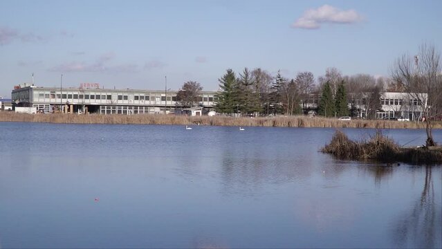 Beautiful lake Bubanj with swans surrounded with reed and building on shore