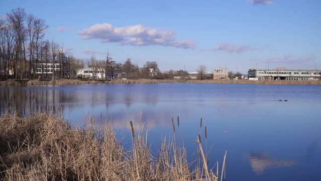 Gorgeous blue lake Bubanj surrounded with reeds and buildings on other side