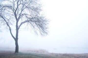 Spring morning landscape. Fogy and misty rises from the meadows and river.