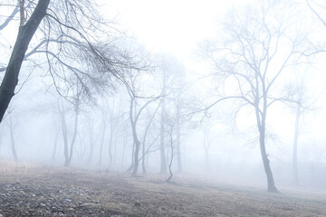 Spring morning landscape. Fogy and misty rises from the meadows and river.