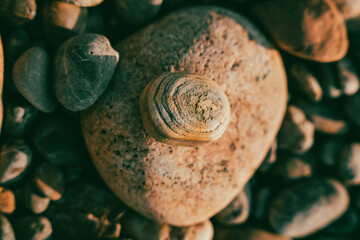 A rock with a small hole in it sits on a pile of rocks