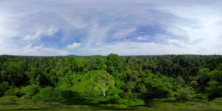 Aerial drone of rainforest and green jungle in Borneo, Malaysia. 360-Degree view.