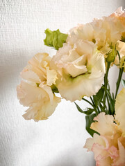 Photo of a delicate bouquet of white Eustoma flowers in vase on a white background